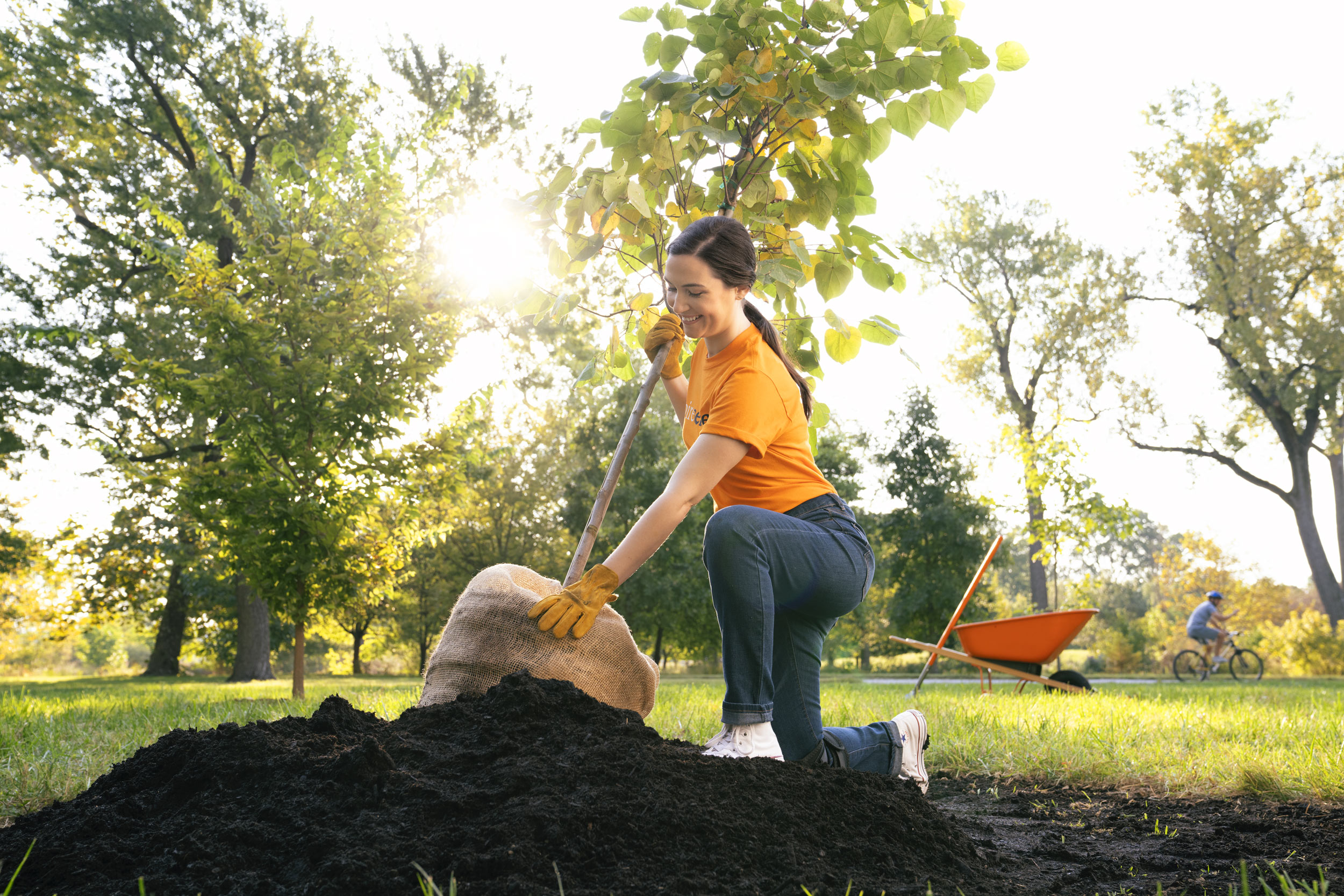 8254_Tree-Planting-B