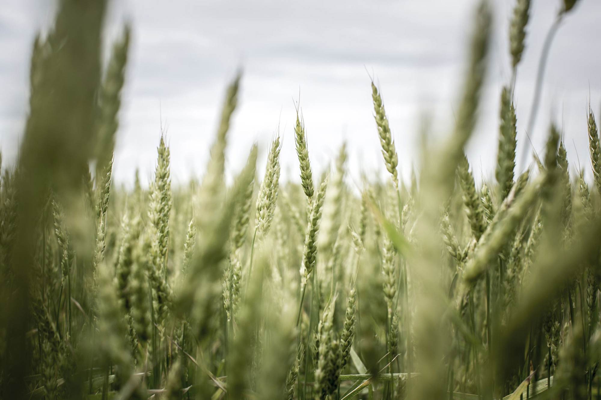 FARM-027_Binder1_Page_142_Image_0001