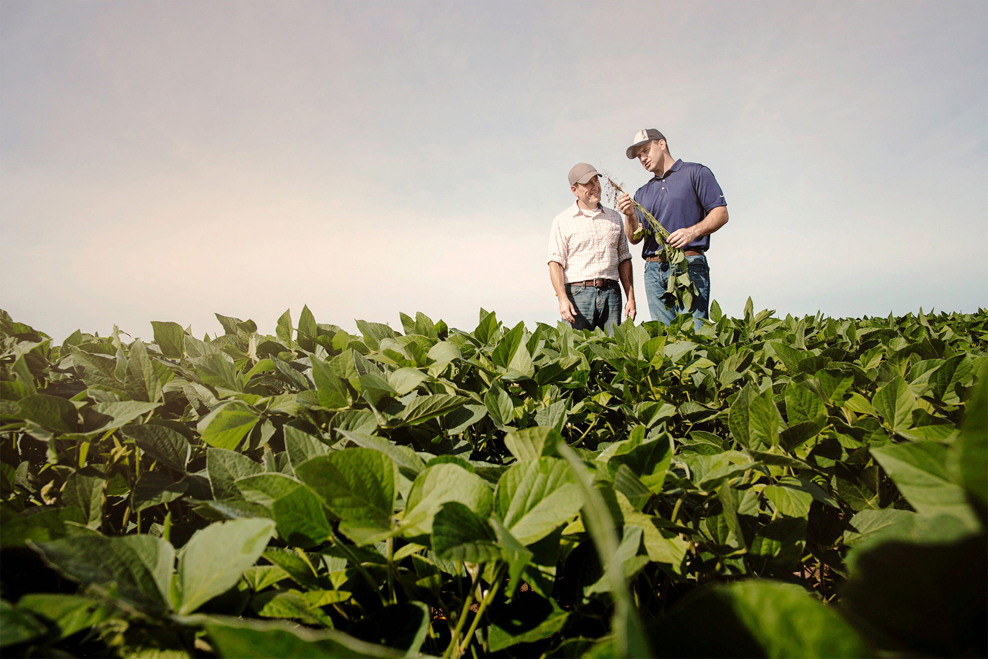 FARM-035_JS_20180628_MonsantoChannel_0714a-layers